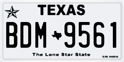 TX license plate BDM9561