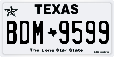 TX license plate BDM9599
