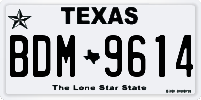 TX license plate BDM9614