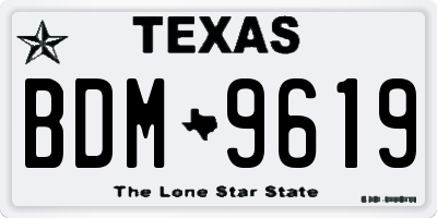 TX license plate BDM9619