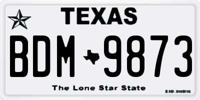 TX license plate BDM9873