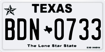 TX license plate BDN0733