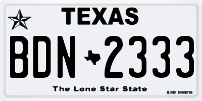 TX license plate BDN2333