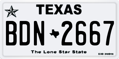 TX license plate BDN2667