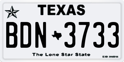 TX license plate BDN3733