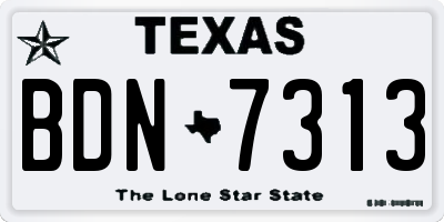TX license plate BDN7313