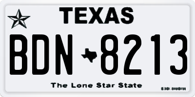 TX license plate BDN8213
