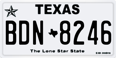 TX license plate BDN8246