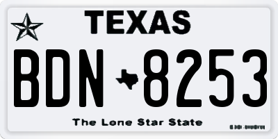 TX license plate BDN8253