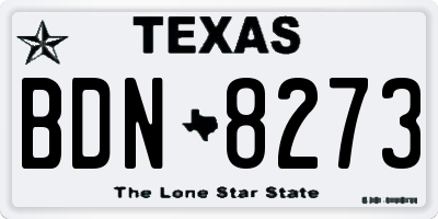 TX license plate BDN8273
