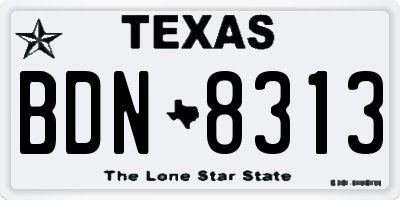 TX license plate BDN8313