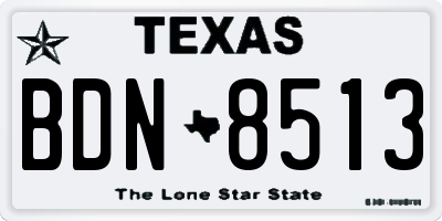 TX license plate BDN8513