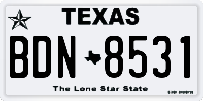 TX license plate BDN8531