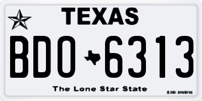TX license plate BDO6313