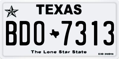 TX license plate BDO7313