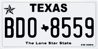 TX license plate BDO8559