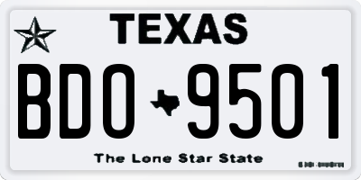 TX license plate BDO9501
