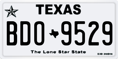 TX license plate BDO9529