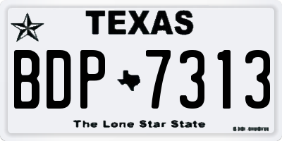 TX license plate BDP7313