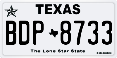 TX license plate BDP8733