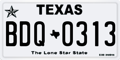 TX license plate BDQ0313