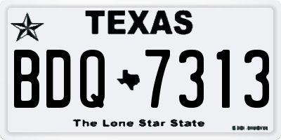 TX license plate BDQ7313