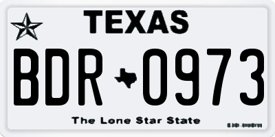 TX license plate BDR0973