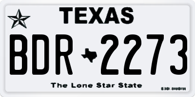 TX license plate BDR2273