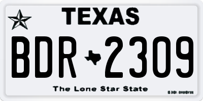 TX license plate BDR2309