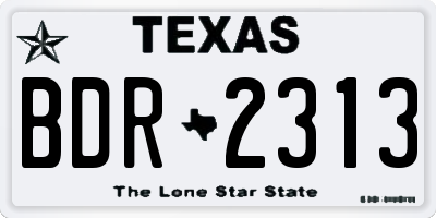 TX license plate BDR2313