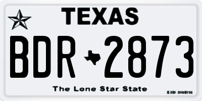 TX license plate BDR2873