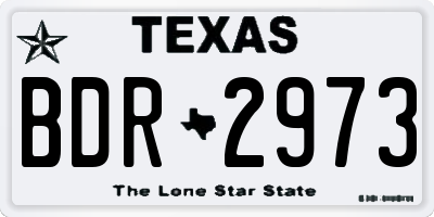 TX license plate BDR2973