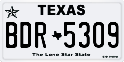 TX license plate BDR5309