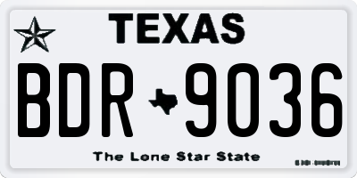 TX license plate BDR9036