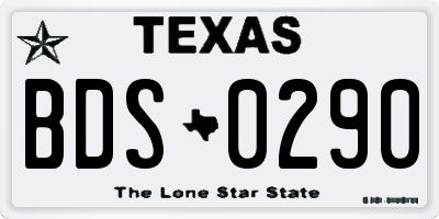 TX license plate BDS0290