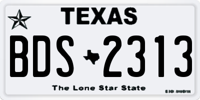 TX license plate BDS2313