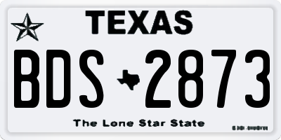 TX license plate BDS2873