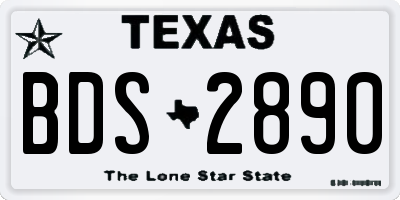 TX license plate BDS2890