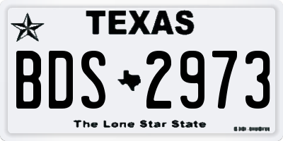 TX license plate BDS2973