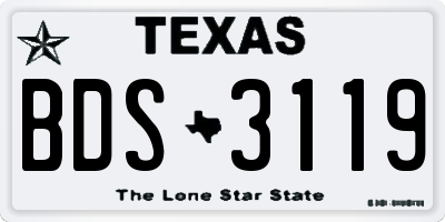 TX license plate BDS3119