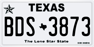 TX license plate BDS3873