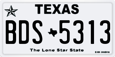 TX license plate BDS5313