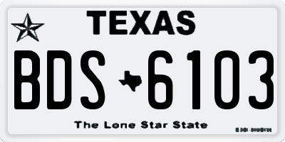 TX license plate BDS6103