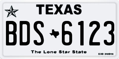 TX license plate BDS6123