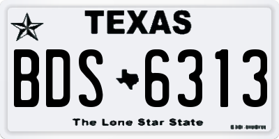TX license plate BDS6313