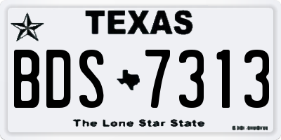 TX license plate BDS7313