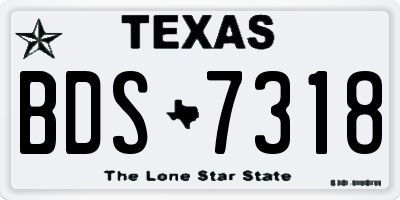 TX license plate BDS7318