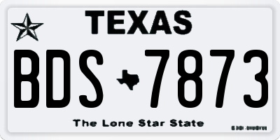 TX license plate BDS7873