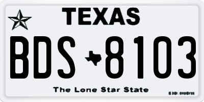TX license plate BDS8103