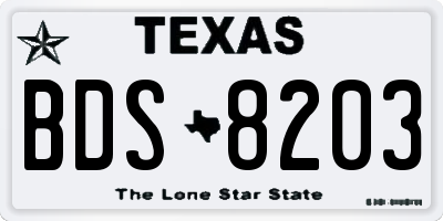 TX license plate BDS8203